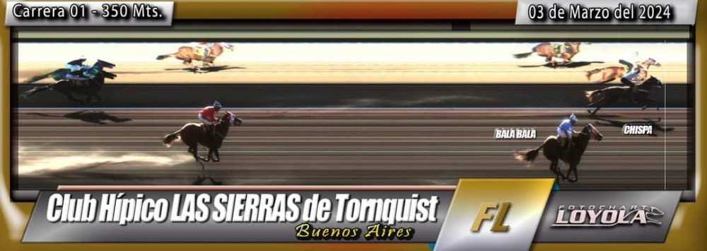 Turf en Tornquist: ”Don Normi” y ”Cicatriz” lograron triunfos para nuestro distrito (90 fotos, resultados y fotochart de las carreras)