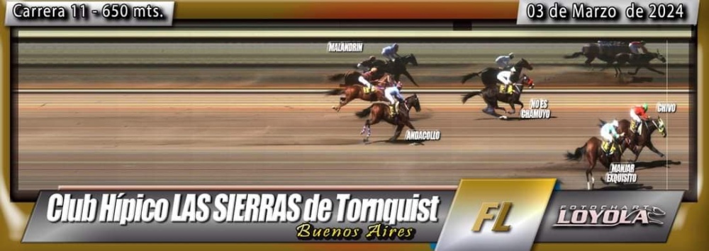 Turf en Tornquist: ”Don Normi” y ”Cicatriz” lograron triunfos para nuestro distrito (90 fotos, resultados y fotochart de las carreras)