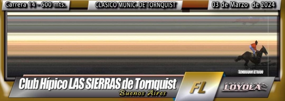 Turf en Tornquist: ”Don Normi” y ”Cicatriz” lograron triunfos para nuestro distrito (90 fotos, resultados y fotochart de las carreras)