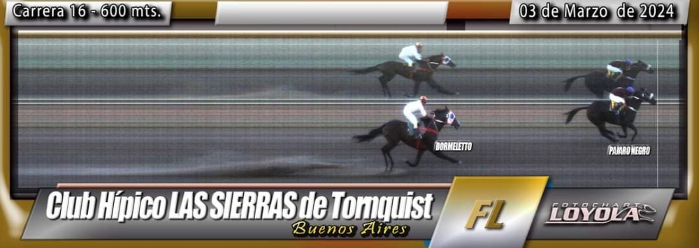 Turf en Tornquist: ”Don Normi” y ”Cicatriz” lograron triunfos para nuestro distrito (90 fotos, resultados y fotochart de las carreras)