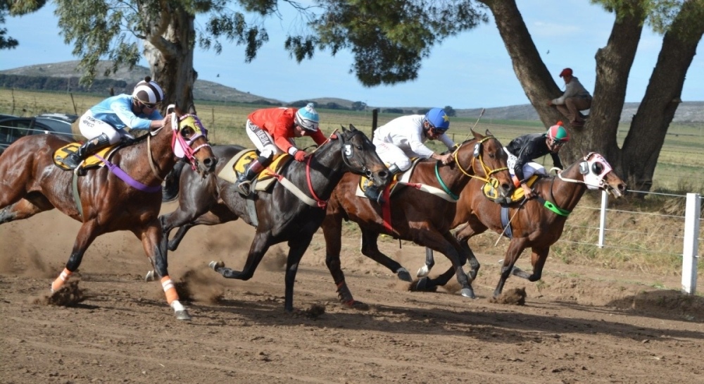 Turf: Programa oficial de carreras a desarrollarse este domingo