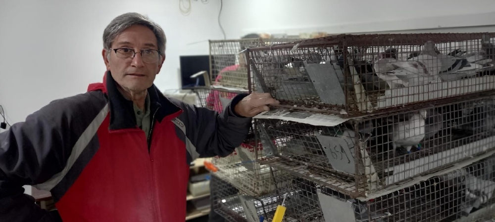 Enzo Tebes ganó el Federal de adultas y Luis Cabrera es el campeón 2024