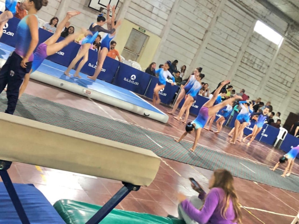 Terra Gym de Sierra de la Ventana compitió en el 14° Torneo de Gimnasia Artística Nivel E