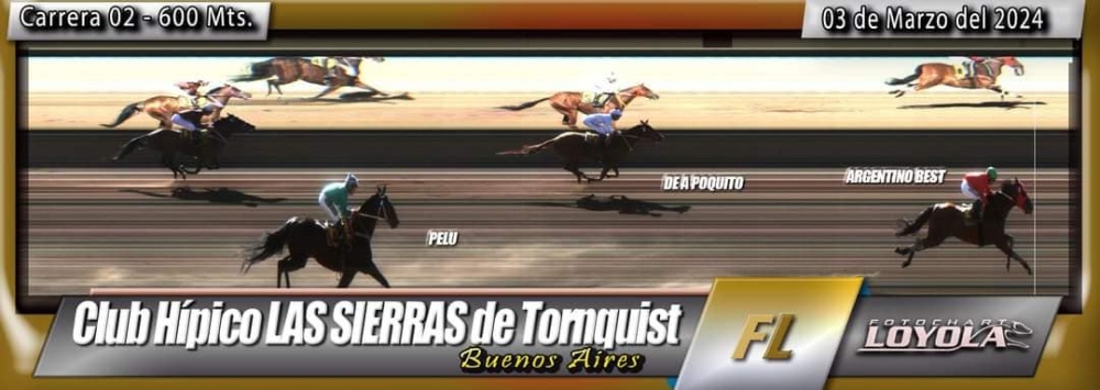 Turf en Tornquist: ”Don Normi” y ”Cicatriz” lograron triunfos para nuestro distrito (90 fotos, resultados y fotochart de las carreras)