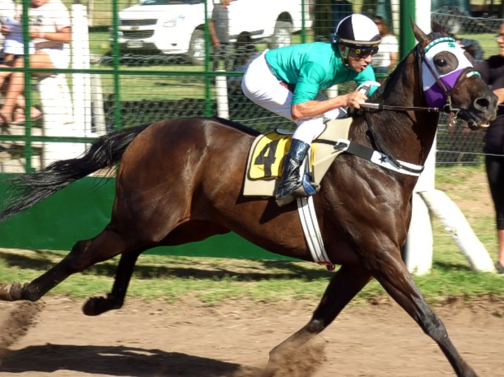 Turf: Saldungaray en lo mas alto del podio de la mano de ”Cicatriz”