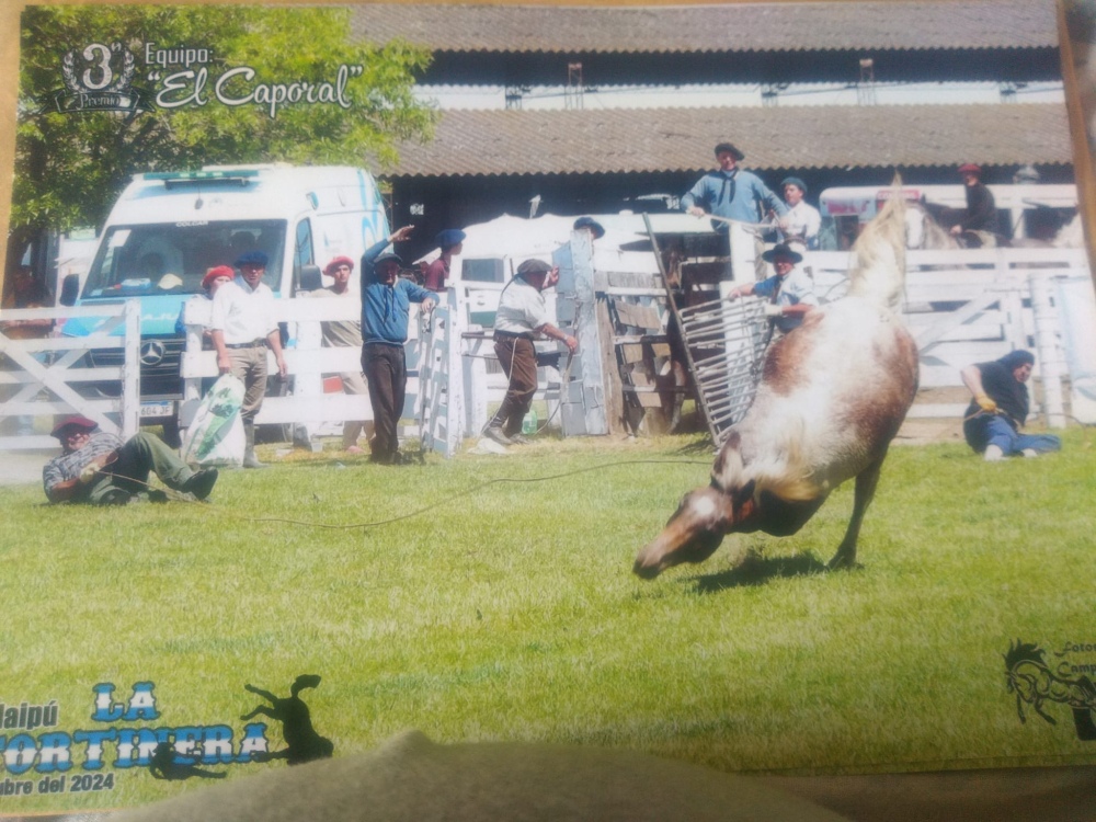 Tercer puesto para el tornquistense Matías Lacasta en un evento de pialada realizado en Maipu