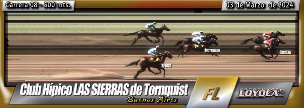 Turf en Tornquist: ”Don Normi” y ”Cicatriz” lograron triunfos para nuestro distrito (90 fotos, resultados y fotochart de las carreras)