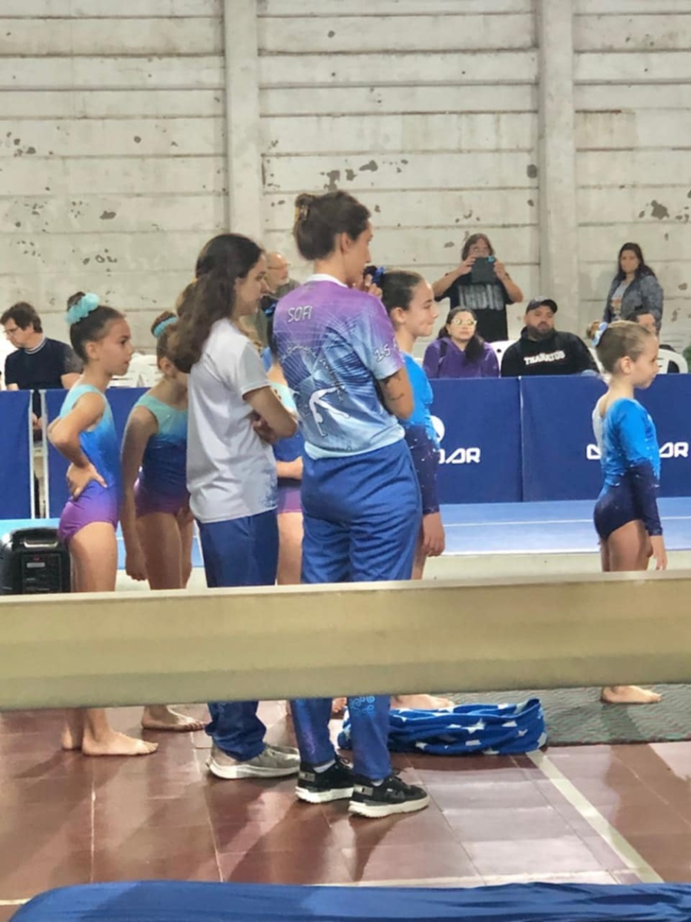 Terra Gym de Sierra de la Ventana compitió en el 14° Torneo de Gimnasia Artística Nivel E