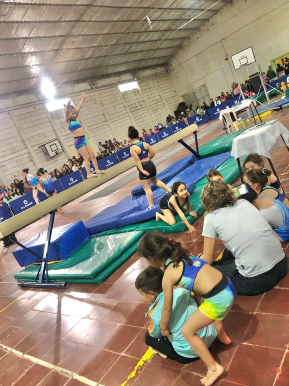 Terra Gym de Sierra de la Ventana compitió en el 14° Torneo de Gimnasia Artística Nivel E