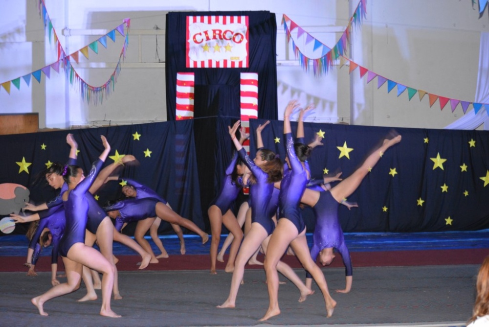 Exitoso gran festival de circo organizado por Centro Gimnástico Tornquist y el CEF Nº 9 (158 fotos + video)