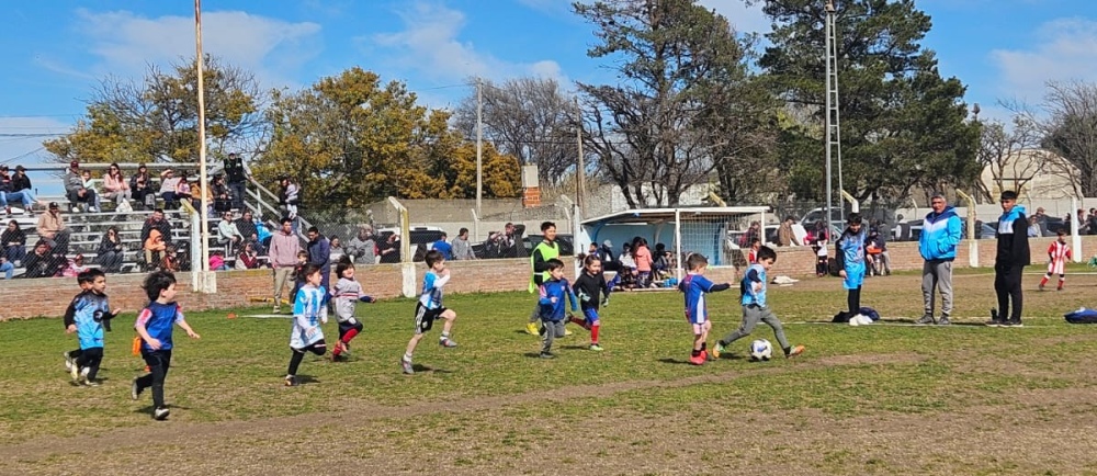 Se realizo un encuentro de escuelitas de futbol en el Club Porteño de Saldungaray (Incluye fotos)