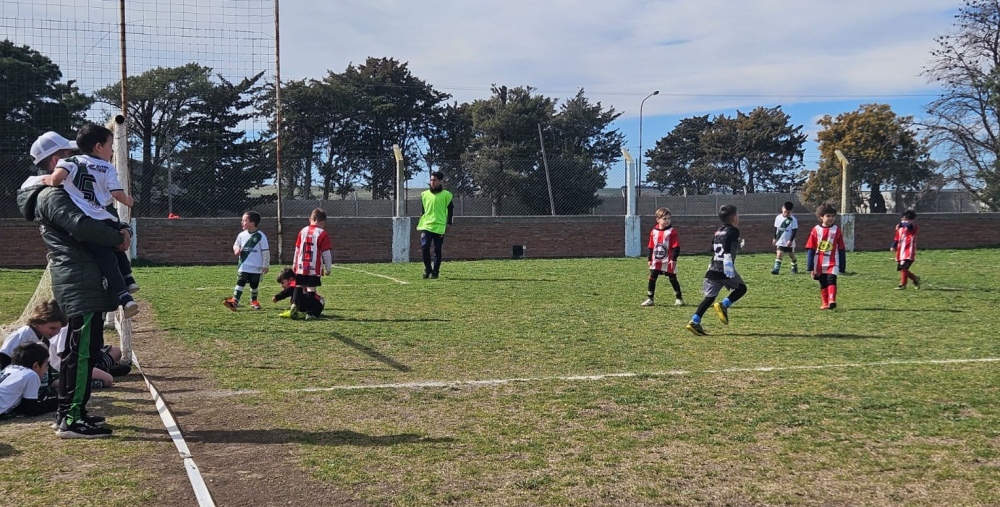 Se realizo un encuentro de escuelitas de futbol en el Club Porteño de Saldungaray (Incluye fotos)