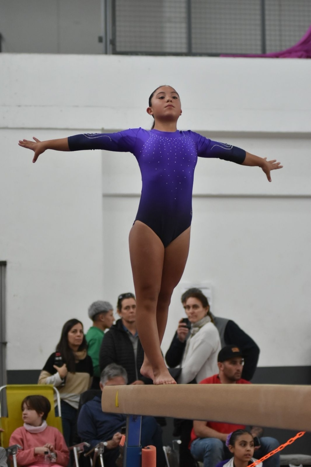 Una medalla de oro y una de plata para Tornquist en el Provincial de Gimnasia Artística