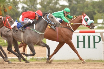 Turf en La Plata: Perfect Moment y un triunfo para Tornquist